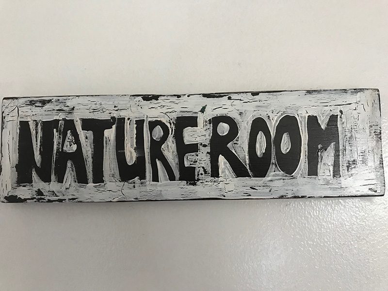 nature room 2